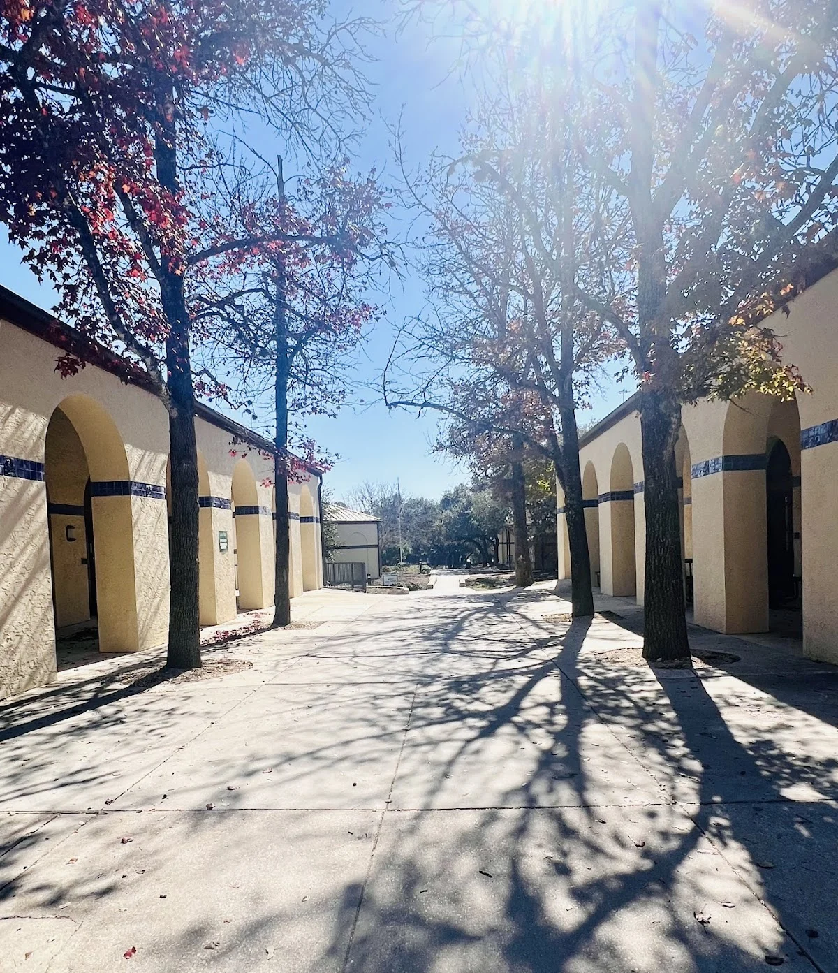 Laurel Ridge Treatment Center - Photo 4