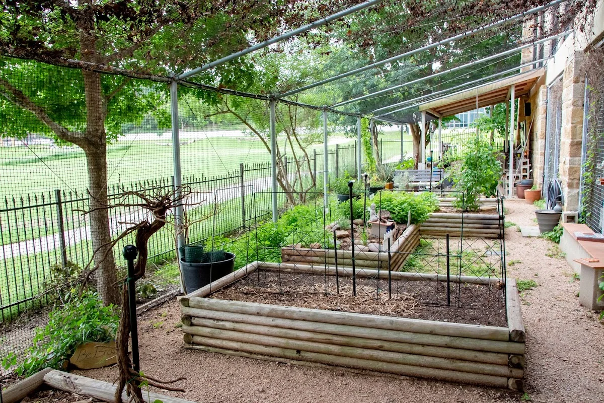 Eating Recovery Center San Antonio - Photo 5