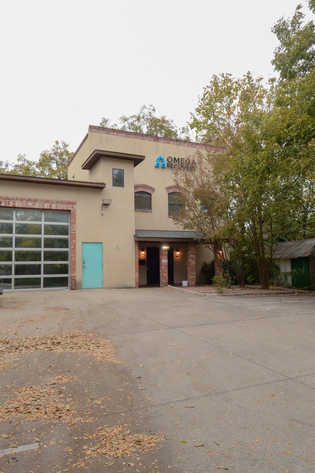 Omega Recovery - Photo 5