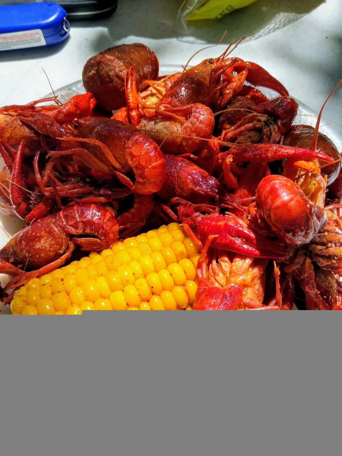 Rise Recovery - Photo 5