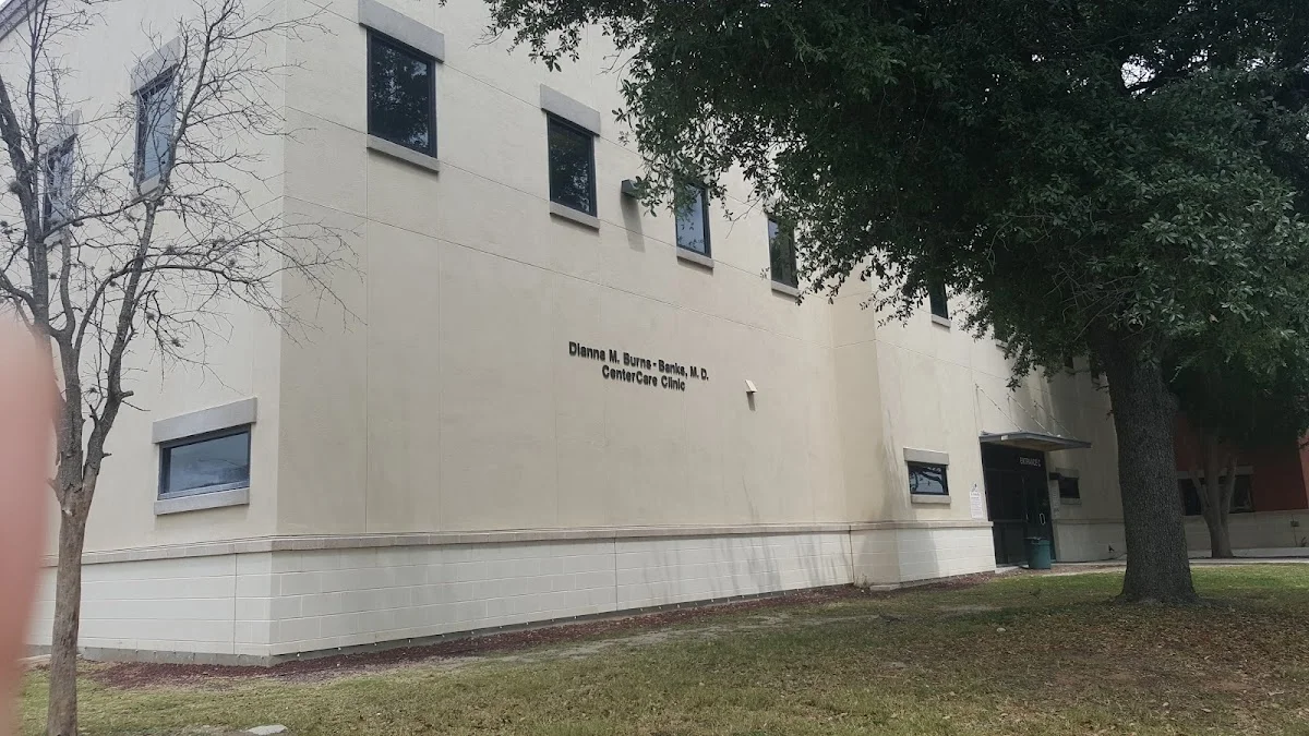 The Center For Health Care Services